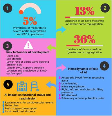 Key questions about aortic insufficiency in patients with durable left ventricular assist devices